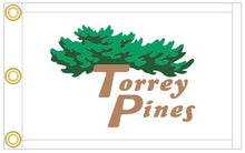 Load image into Gallery viewer, Practice Putting Green Tournament Pin Flags