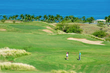 Load image into Gallery viewer, Hawaiian Vacation for Two
