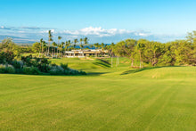 Load image into Gallery viewer, Hawaiian Vacation for Two