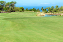 Load image into Gallery viewer, Hawaiian Vacation for Two
