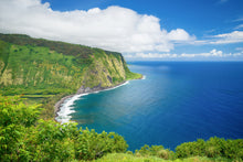 Load image into Gallery viewer, Hawaiian Vacation for Two