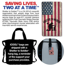 Load image into Gallery viewer, iCool® Trail Cooler Backpack